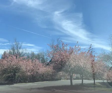 Twin Lakes Mobile Estates