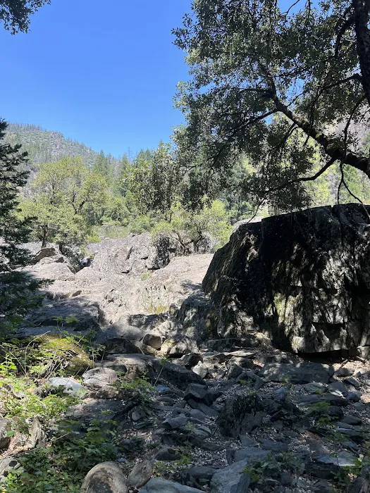 Greenville Mutual Aid Campground Picture 2