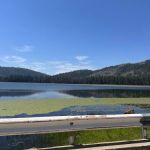 Greenville Mutual Aid Campground