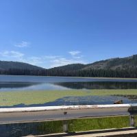 Greenville Mutual Aid Campground ico