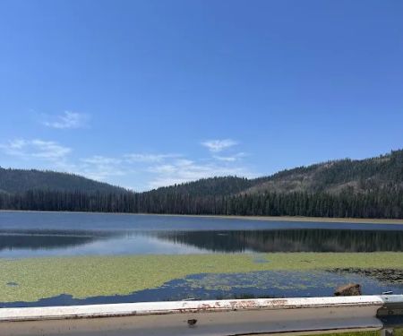 Greenville Mutual Aid Campground