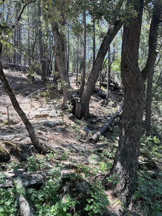 Greenville Mutual Aid Campground Picture 5