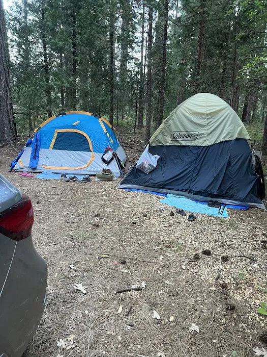 Greenville Mutual Aid Campground Picture 3
