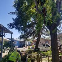 Rollingwood Estates ico