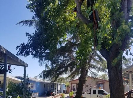 Rollingwood Estates