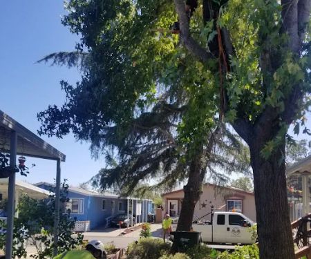 Rollingwood Estates