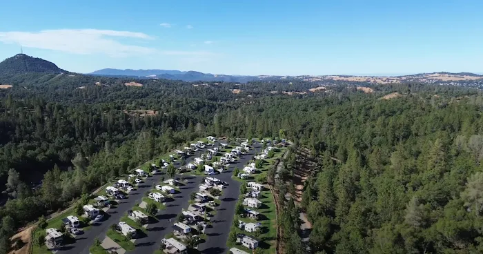 Jackson Rancheria RV Park Picture 2