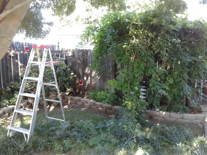 Ione Mobile Home Park Picture 4
