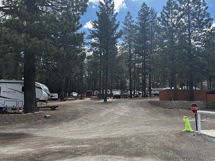 J and J Grizzly Store and Camping Resort Picture 9