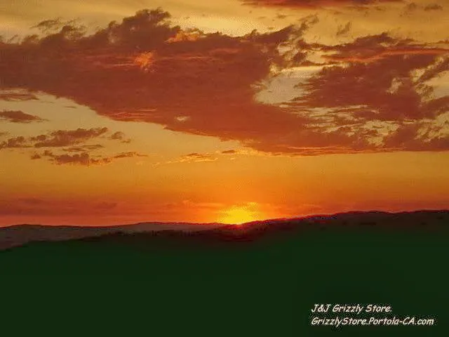 J and J Grizzly Store and Camping Resort Picture 3