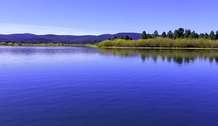 J and J Grizzly Store and Camping Resort Picture 10