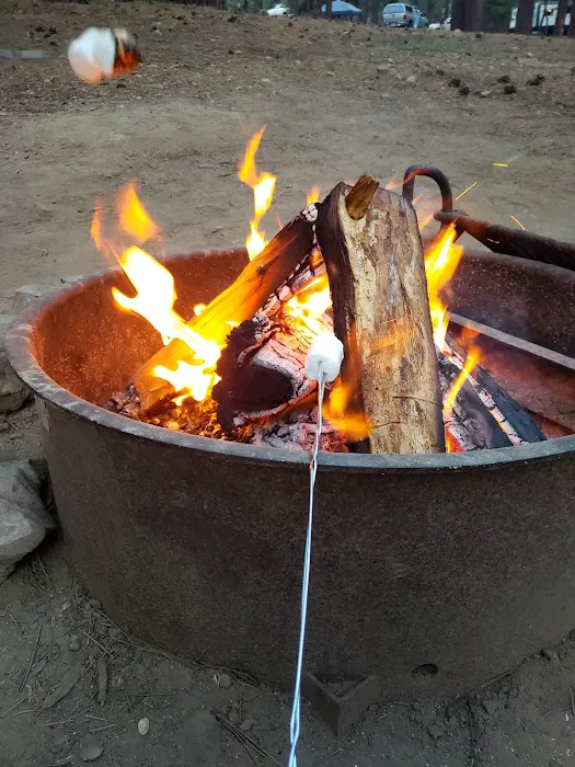 Grizzly Campground Picture 1