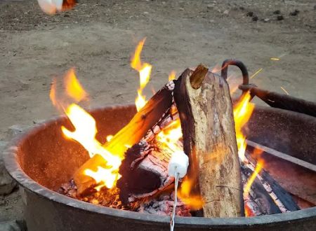 Grizzly Campground