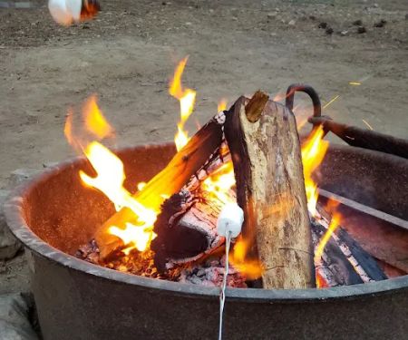 Grizzly Campground