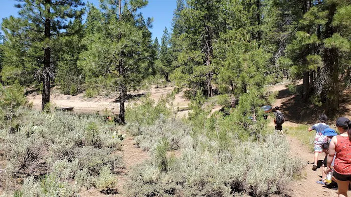 Grizzly Campground Picture 8