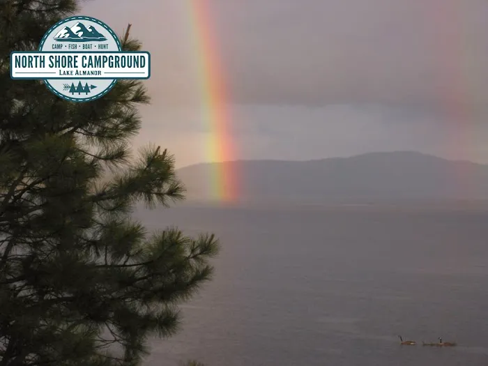 North Shore Campground Picture 1