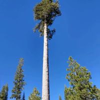Warner Creek Campground ico