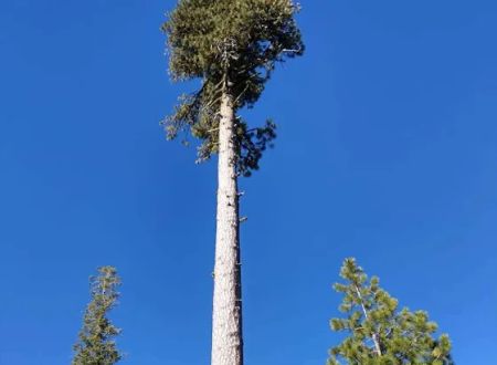 Warner Creek Campground
