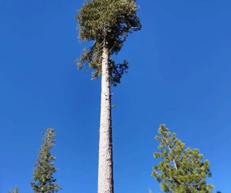 Warner Creek Campground
