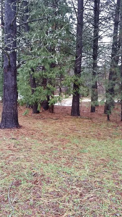 Meadow Pines Estates Picture 4
