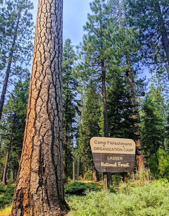 Camp Fleischmann Picture 8