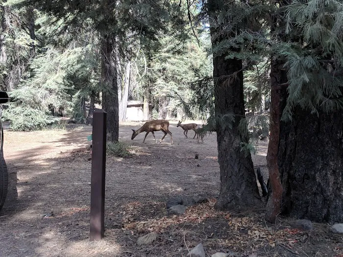 Warner Valley Campground Picture 1