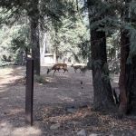 Warner Valley Campground