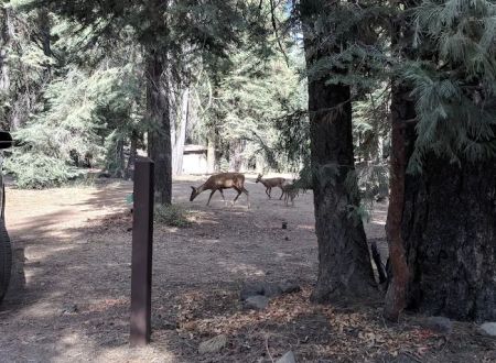 Warner Valley Campground