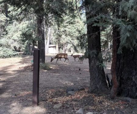 Warner Valley Campground