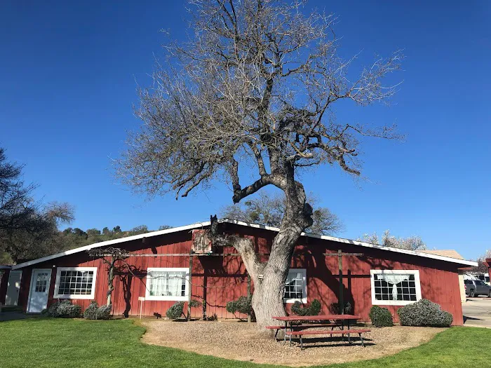 Paso Robles RV Ranch Picture 10