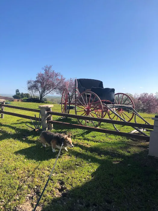 Paso Robles RV Ranch Picture 2