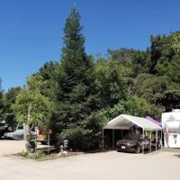 Resthaven Mobile Home Park ico