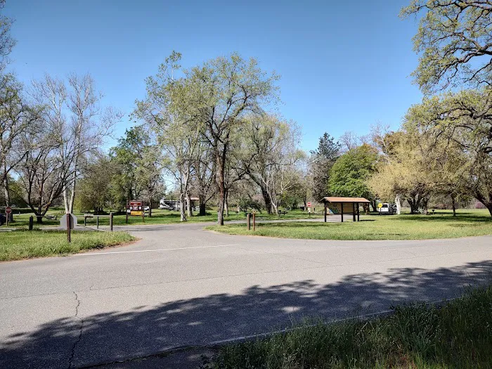 Sycamore Grove Campground Picture 7