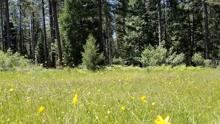 Bigfoot Lodging Lassen (formerly Living Springs) Picture 9