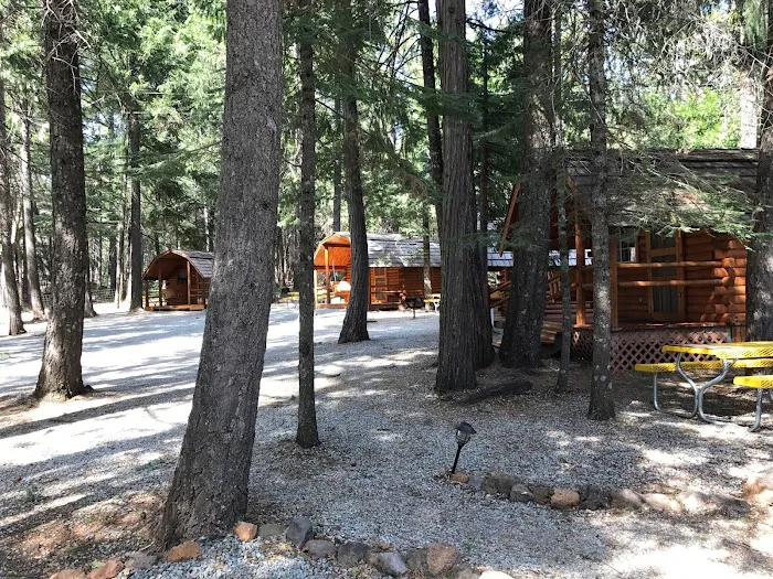 Mt. Lassen / Shingletown KOA Holiday Picture 2