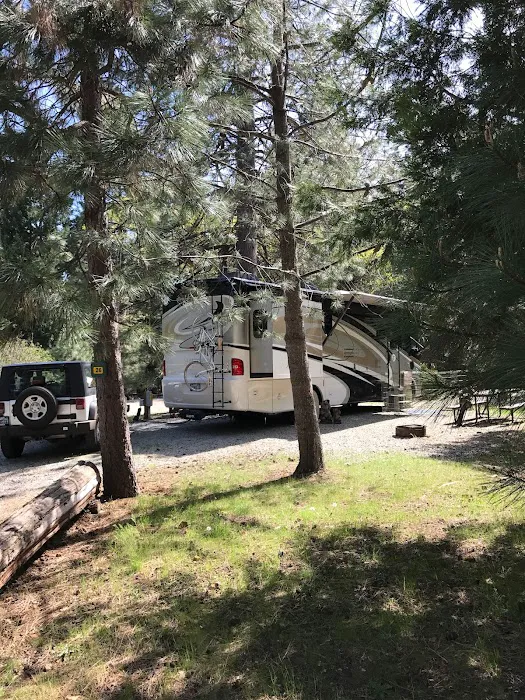 Mt. Lassen / Shingletown KOA Holiday Picture 1