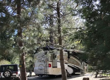 Mt. Lassen / Shingletown KOA Holiday