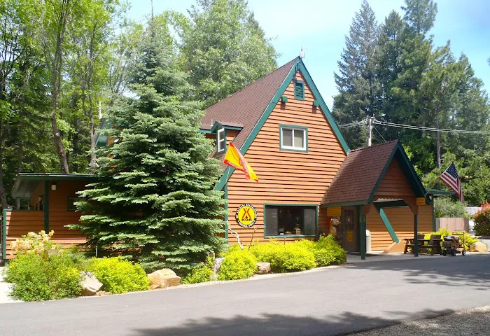 Mt. Lassen / Shingletown KOA Holiday Picture 10