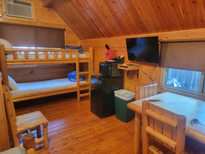 Mt. Lassen / Shingletown KOA Holiday Picture 3