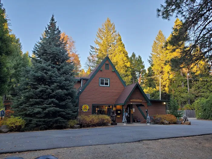 Mt. Lassen / Shingletown KOA Holiday Picture 5