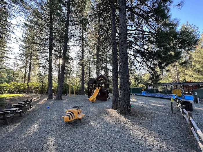 Mt. Lassen / Shingletown KOA Holiday Picture 9