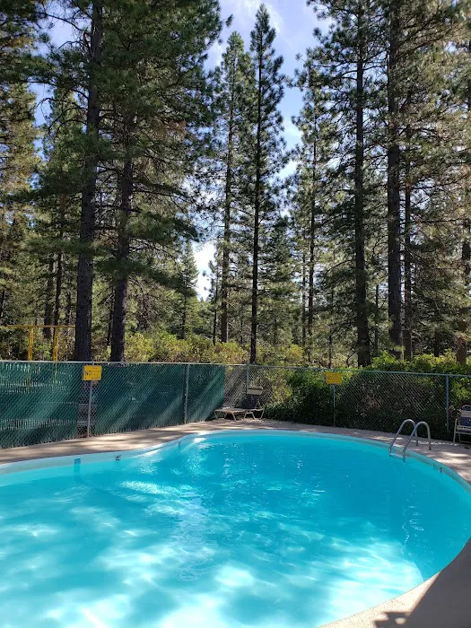 Mt. Lassen / Shingletown KOA Holiday Picture 8
