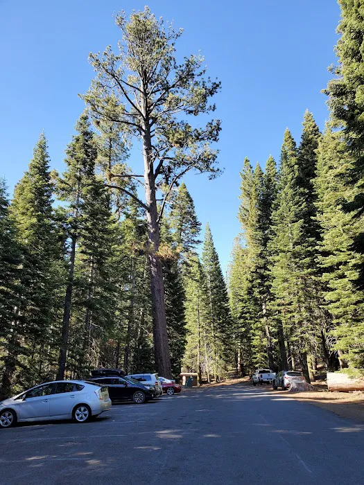 Manzanita Lake Campground Picture 7