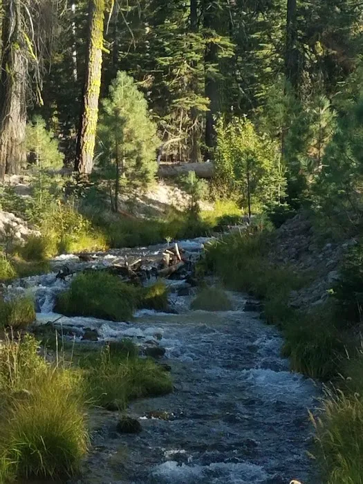 Manzanita Lake Campground Picture 6