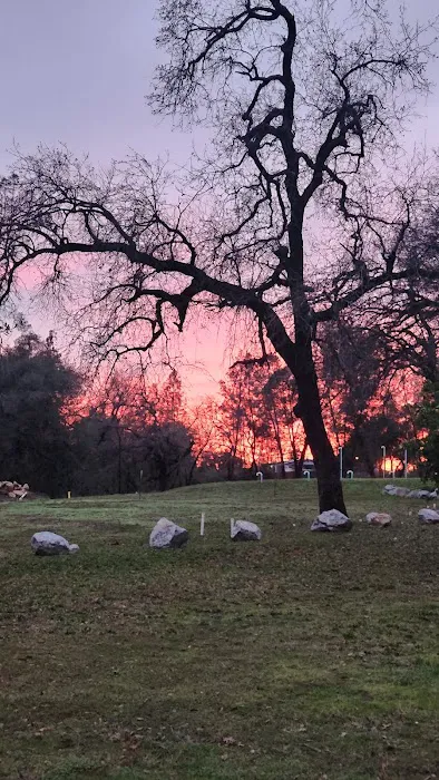 Redding Lakeside Mobile Estates Picture 2