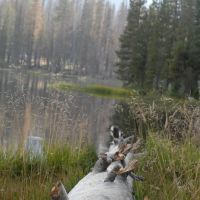 South Summit Lake Campground ico