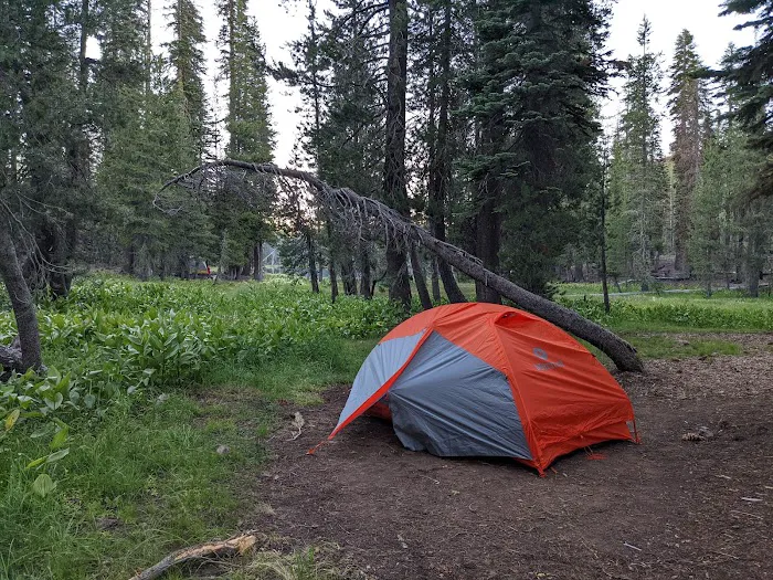 South Summit Lake Campground Picture 9
