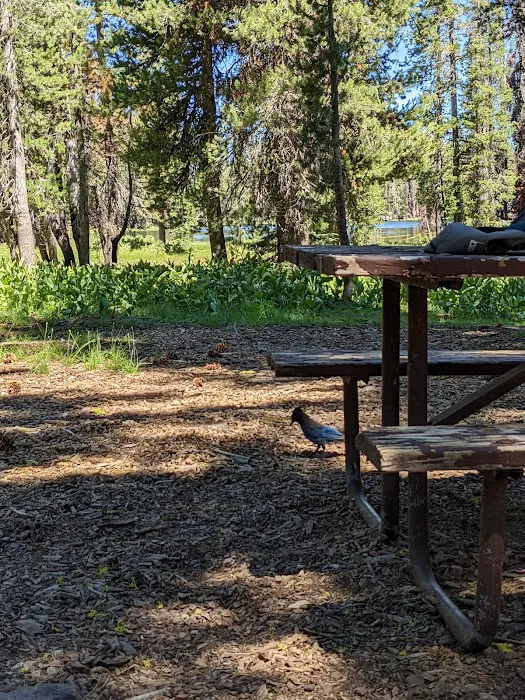 South Summit Lake Campground Picture 8