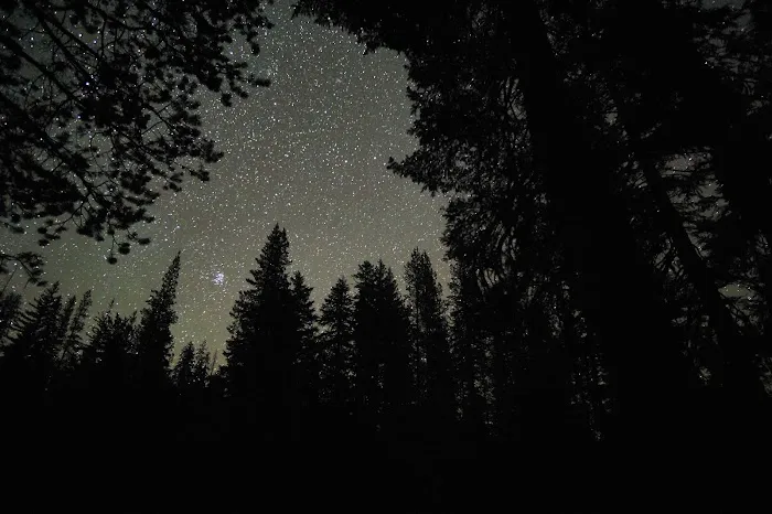 South Summit Lake Campground Picture 4