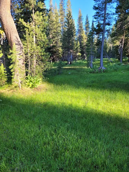 South Summit Lake Campground Picture 7